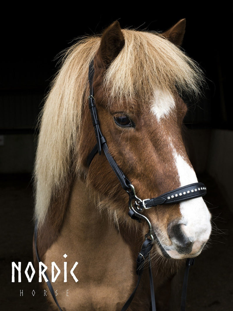 Nordic Horse hackamore med sten