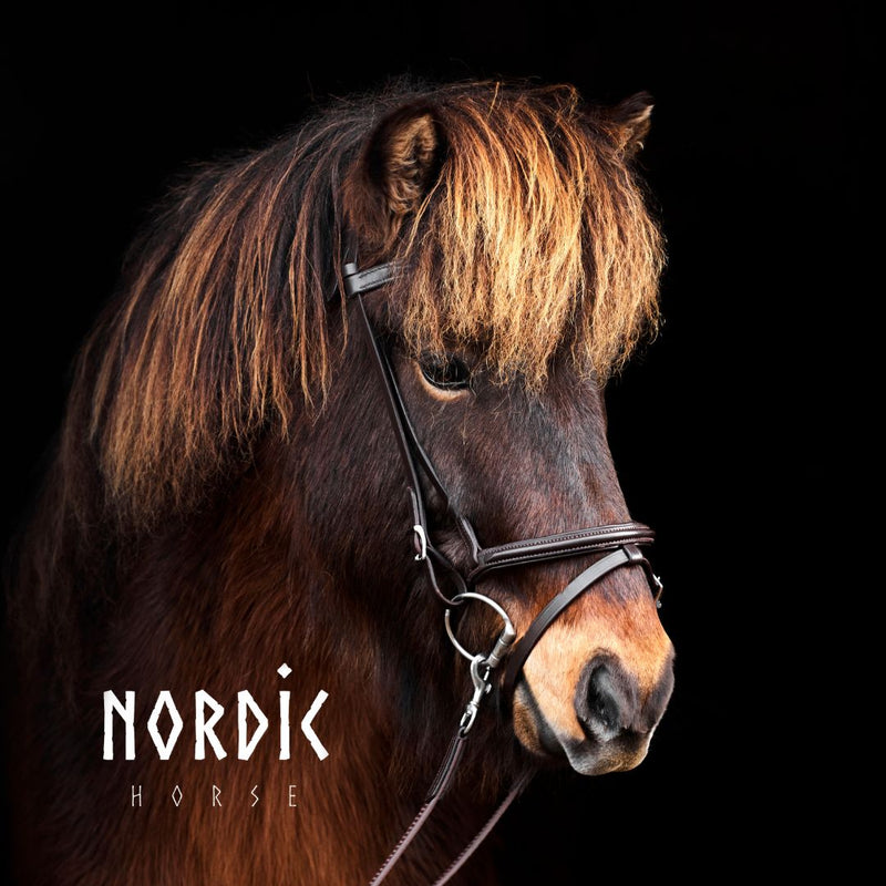 Nordic Horse kombineret næsebånd - brun læder