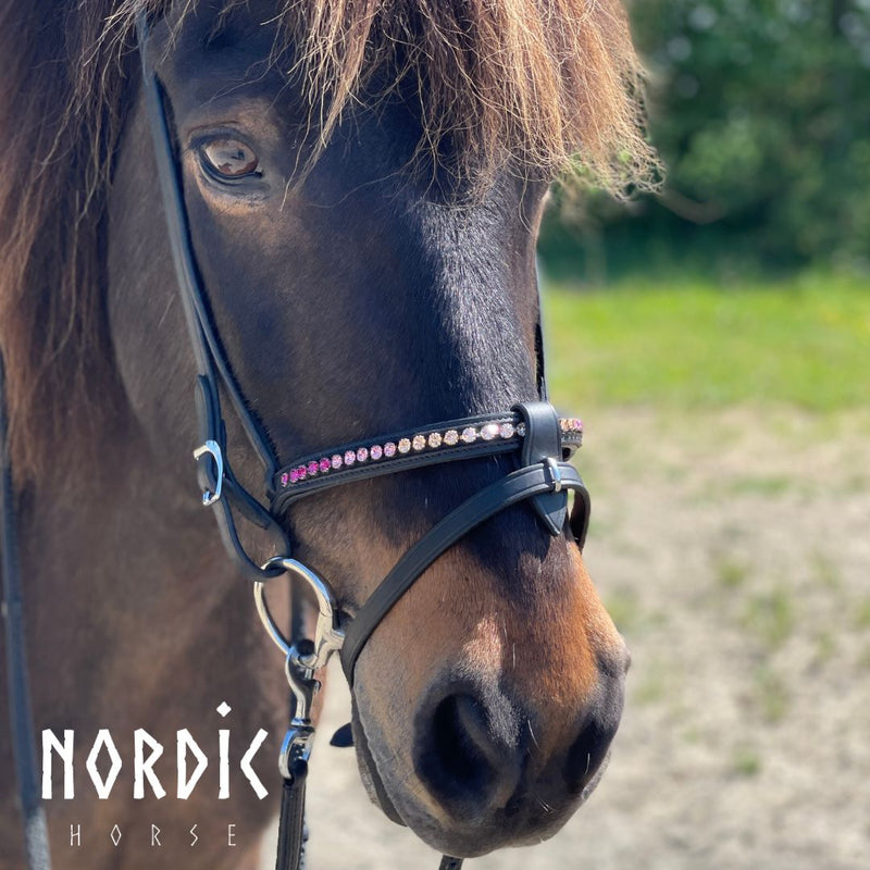 Nordic Horse kombineret næsebånd med changerende sten