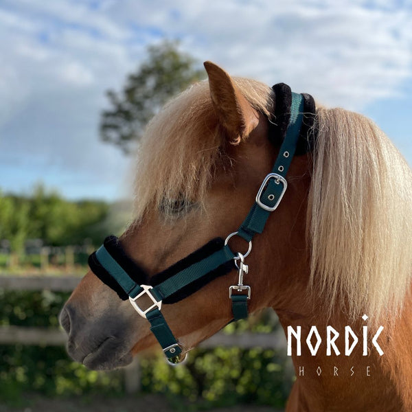 Nordic Horse komfort nylongrime + træktov, mørkegrønt
