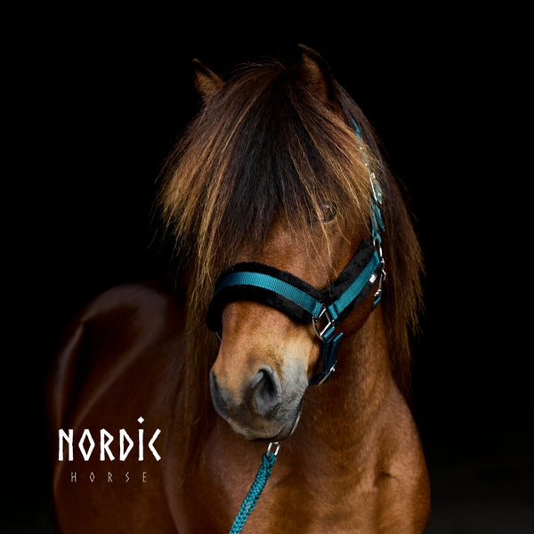 Nordic Horse komfort nylongrime + træktov, mørkegrønt