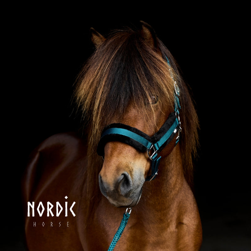 Nordic Horse komfort nylongrime + træktov, mørkegrønt