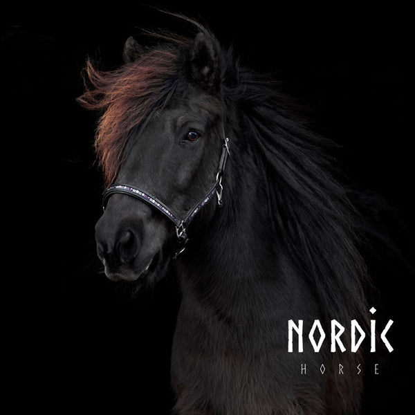 Nordic Horse lædergrime Colour Mix, lilla