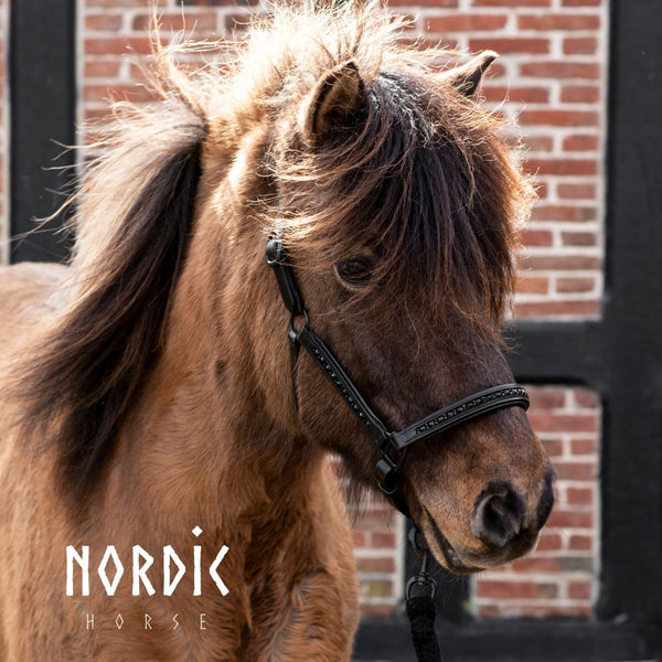 Nordic Horse lædergrime, All Black