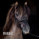 Nordic Horse lædergrime, All Rosegold