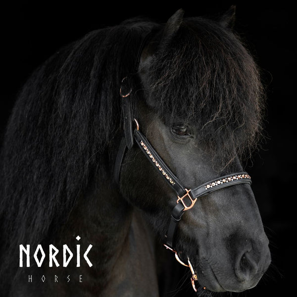 Nordic Horse lædergrime, All Rosegold