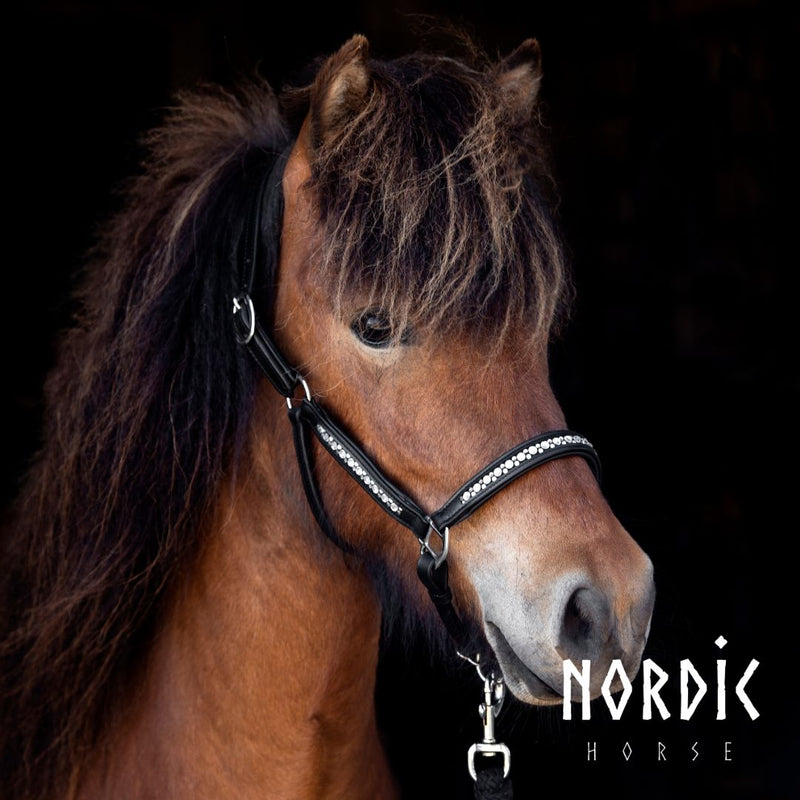 Nordic Horse lædergrime, All White