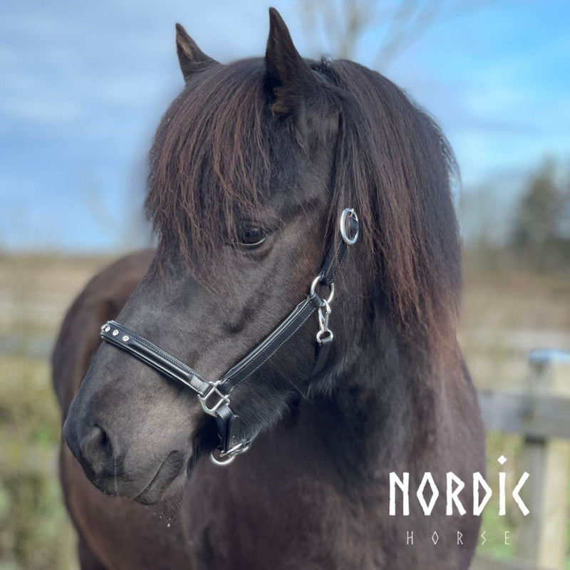 Nordic Horse lædergrime med 5 sten