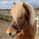 Nordic Horse lædergrime med 5 sten