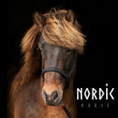 Nordic Horse lædergrime med glitter