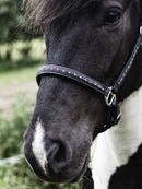 Nordic Horse lædergrime med icecolour sten