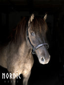 Nordic Horse lædergrime med icecolour sten