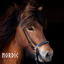 Nordic Horse næsebånd med changerende sten