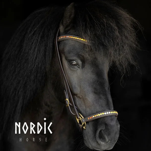 Nordic Horse næsebånd med changerende sten
