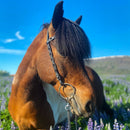 Nordic Horse nakkerem, nr. 16