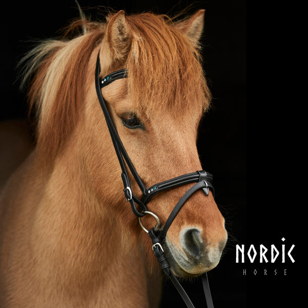 Nordic Horse nakkeremme, Colour Edition