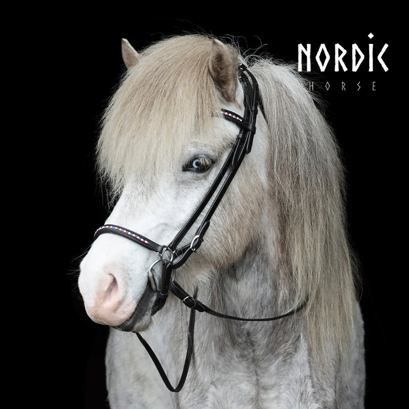 Nordic Horse nakkerem med sten i Islandske farver