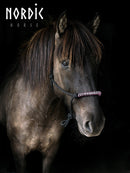 Nordic Horse rebgrime med sten, str. cob