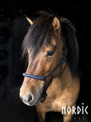 Nordic Horse rebgrime med sten, str. cob