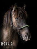 Nordic Horse rebgrime med sten, str. cob