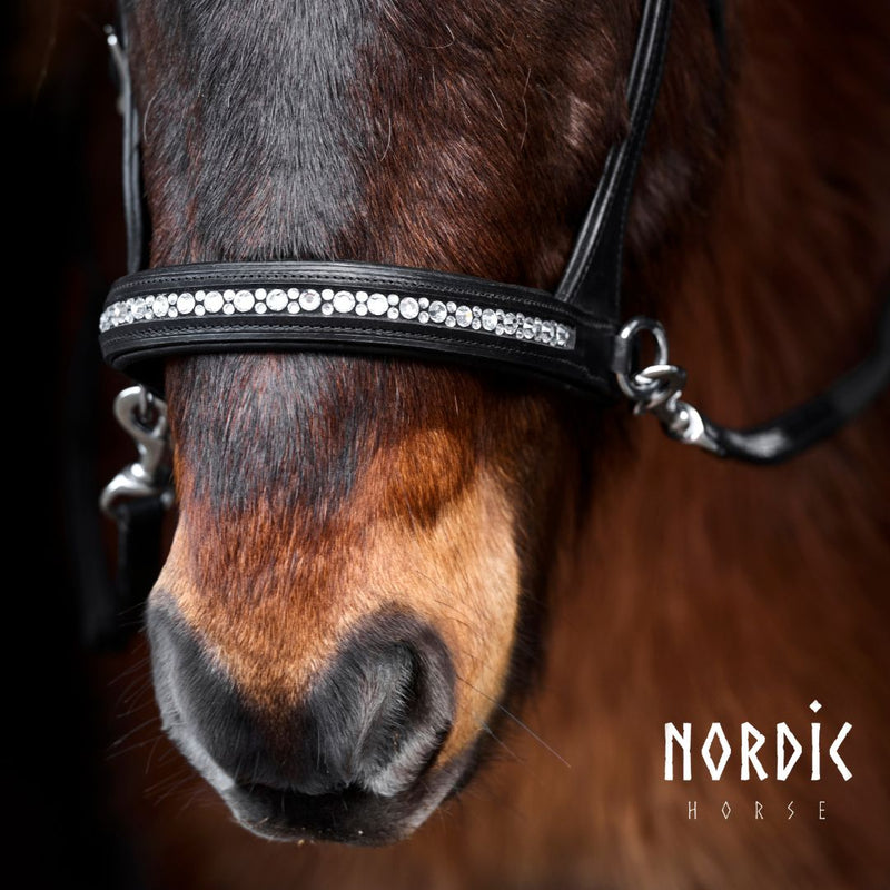 Nordic Horse sidepull - All White