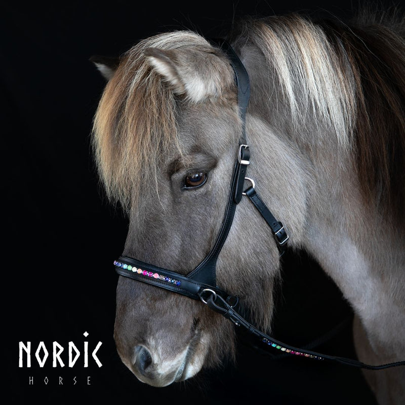 Nordic Horse sidepull, rainbow