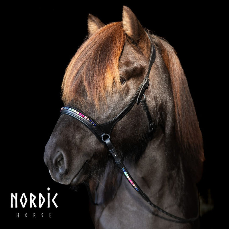 Nordic Horse sidepull, rainbow