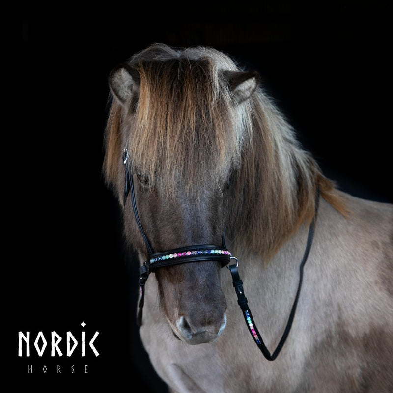 Nordic Horse sidepull, rainbow