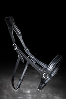 Nordic Horse sidepull med sten