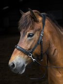 Nordic Horse sidepull med sten