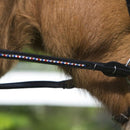 Nordic Horse supergriptøjle med D-ringslukning, Icecolour