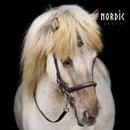 Nordic Horse engelsk næsebånd med 5 sten - brun
