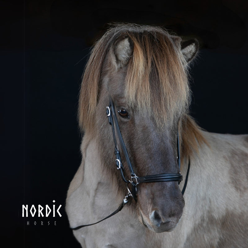 Nordic Horse hannoveransk næsebånd
