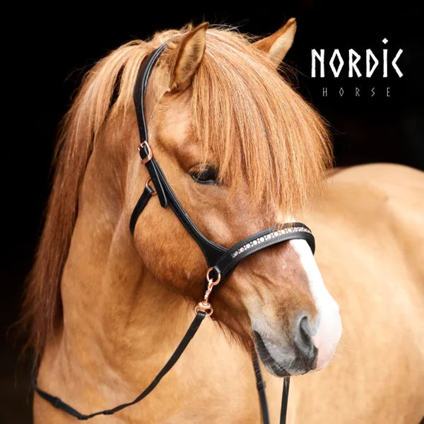 Nordic Horse sidepull - All Rosegold