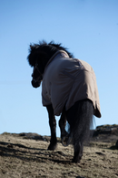Top Reiter Klaki anti-sweat fleecedækken - trøffelbrun