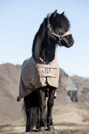 Top Reiter Klaki anti-sweat fleecedækken - trøffelbrun