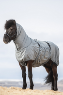 Top Reiter eksemdækken