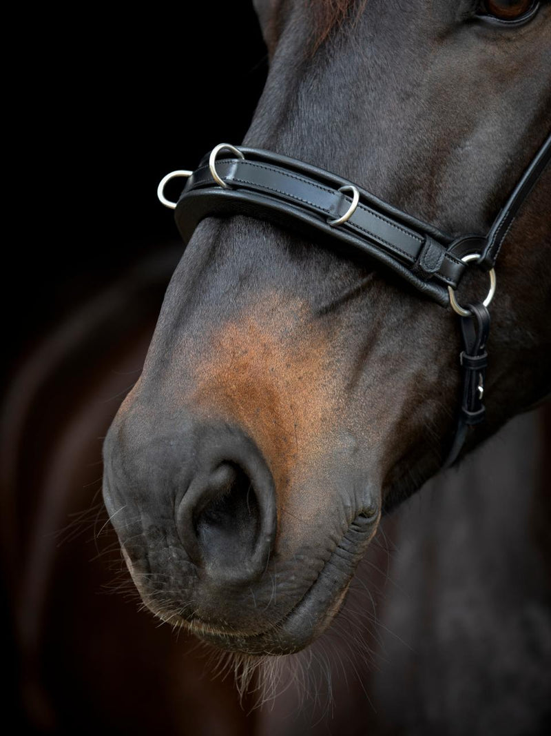 Catago Gentle Bridle kapsun næsebånd