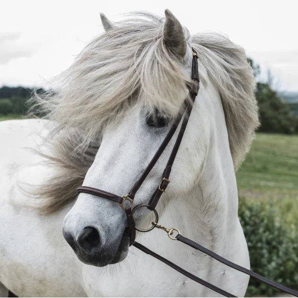 Nordic Horse hannoveransk næsebånd