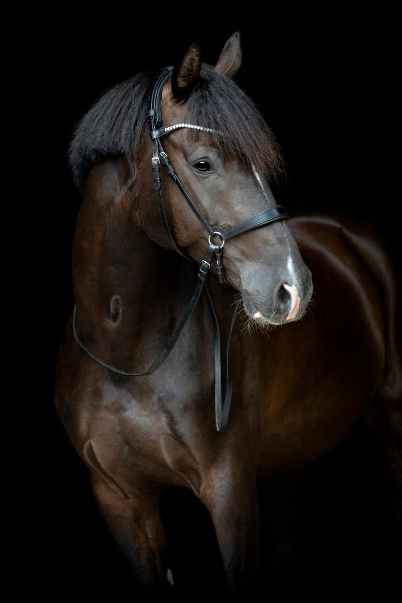 Catago Gentle Bridle halvt næsebånd