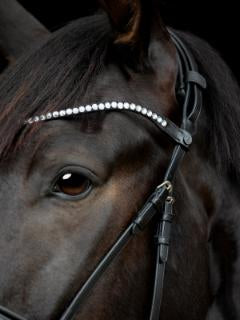 Catago Gentle Bridle pandebånd