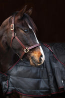 Catago Dual Pro regndækken - 100 gram