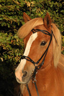 Nordic Horse nakkerem, nr. 1