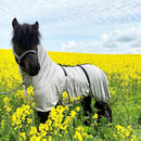 Eques eksemdækken, grå