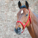 Waldhausen foldgrime, rød