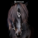 Hrimnir nakkerem, Heritage Shield