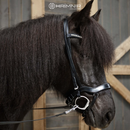 Hrimnir anatomisk næsebånd