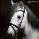 Hrimnir kombineret næsebånd, Lava Edition