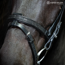 Hrimnir kombineret næsebånd, Lava Edition