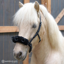 Hrimnir Kapsun, Carmen